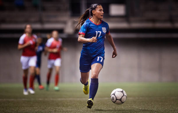 不妨以费德 不妨以费德