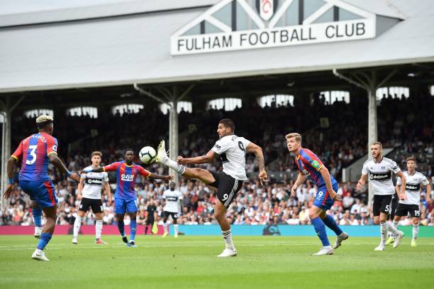 是王者的证 是王者的证